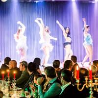 Venice Dinner Show — gallery 1