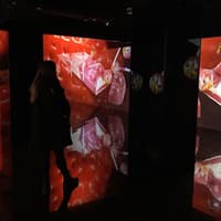 Nougat and Chocolate Museum Tour with Tasting — gallery 1