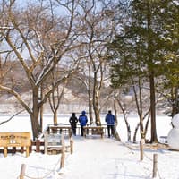 From Seoul: Alpaca World, Nami Island & Garden of Morning Calm Day Trip — gallery 2