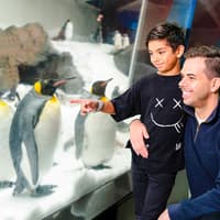 Penguin Passport Tickets: Guided Encounter at SEA LIFE Melbourne Aquarium — gallery 1