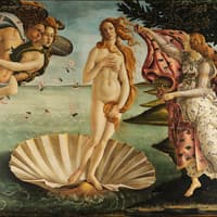 The Florence Pass, Florence City Cards, فلورنس