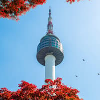 Tickets to N Seoul Tower Observatory — gallery 1