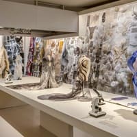 ArtScience Museum Exhibition Tickets — gallery 3