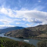 Full Day River Cruise to Douro Valley with Meals and Return Transfer — gallery 2