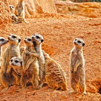 Bioparc Valencia Tickets — gallery 3