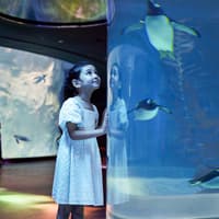 Bird Paradise Tickets | Mandai Wildlife Reserve — gallery 3