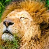 Krakow Zoo Entrance Tickets with Hotel Transfers — gallery 1