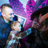 SEA LIFE Birmingham: Entry Ticket, SEA LIFE Birmingham, Birmingham