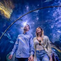 Combo: Oceanogràfic + Science Museum + Hemisfèric Tickets — gallery 1