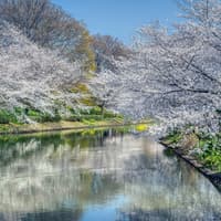 Keihan Railway Kyoto–Osaka & Osaka Metro: 1-Day or 24-Hour Pass — gallery 4