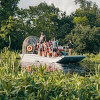 New Orleans: Small Airboat Ride — gallery 2