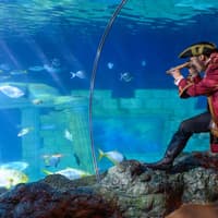 SEA LIFE Porto: Entry Ticket — gallery 3