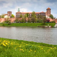 Wawel Castle & Cathedral Guided Tour — gallery 5
