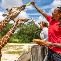 Zoo Miami Tickets — gallery 1