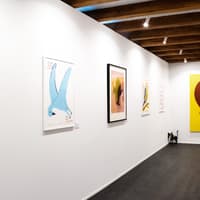 MACA Museum: Entry Ticket — gallery 2