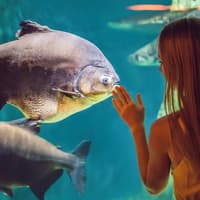Barcelona Aquarium Skip-the-Line Tickets — gallery 2