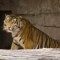 Barcelona Zoo: Skip The Line Ticket — gallery 2