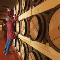 Venice: Guided Grappa Tasting Experience, Culinary Places in Venice, ونیز