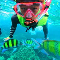Krabi: One Day 4-Islands Hopping Snorkelling Tour by Longtail Boat or Speed Boat — gallery 1