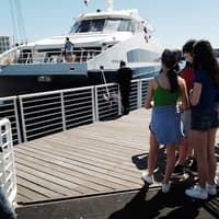 Robben Island and Table Mountain Full Day Tour — gallery 4