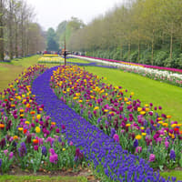 Keukenhof: Entry Ticket — gallery 2