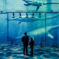 Prehistoric Planet: Dinosaurs – The Immersive Experience — gallery 4