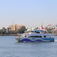 Long Beach: Whale and Dolphin Watching Cruise — gallery 2