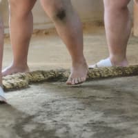 Tickets to Sumo Morning Training in Tokyo — gallery 2