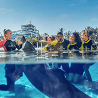 Atlantis Aquaventure Waterpark Tickets: Pair Up & Save Offer — gallery 3