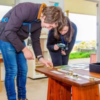 Walk with Wildlife Guided Tour at Wildlife Wonders — gallery 4