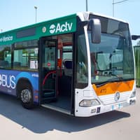 ACTV Aerobus Bus Transfer: Venice Marco Polo Airport to/from Venice Piazzale Roma — gallery 1