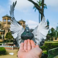 Guided Monumental Walking Tour in Seville — gallery 4
