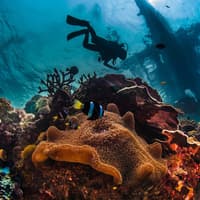 Hurghada : Plongée sous-marine guidée + Transferts + Déjeuner, Hourghada
