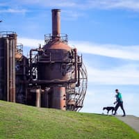 Seattle: Scenic Tour — gallery 2