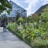 Hortus Botanicus Leiden: Sıra Beklemeden Giriş Bileti, Hortus Botanicus Leiden, Leiden