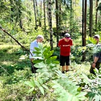 National Park Hike & Smoke Sauna — gallery 4
