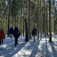 National Park Hike & Smoke Sauna — gallery 1