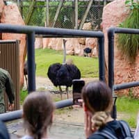 Bali Zoo Entry Tickets — gallery 2