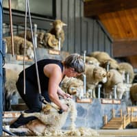 Agrodome Authentic Farm Experience Tickets — gallery 4