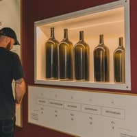 WOW Porto Wine School: Personalized Tasting + The Wine Experience Entry — gallery 2