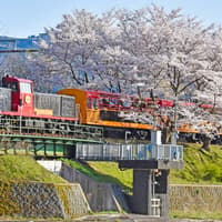 Billete del Tren Romántico de Sagano: de Saga hacia/desde Kameoka, Kioto