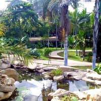 Palmetum of Santa Cruz de Tenerife: Entry Ticket — gallery 1