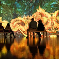The New Immersive Van Gogh - The Next Chapter Las Vegas: Entry Ticket — gallery 2