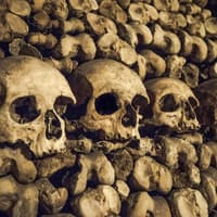 Combo: Catacombs Tickets + Seine River Cruise — gallery 4