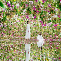 כרטיסים ל-teamLab Planets Tokyo, Tokyo, Japan, Tokyo