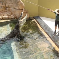 Family Saver Pack: Crocosaurus Cove Tickets — gallery 1