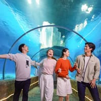 Ocean Park: 1-Day Pass + FasTrack Pro Tickets — gallery 1