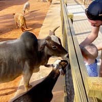 Gatorland Skip-the-Line Tickets — gallery 3