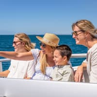Whale Watching Cruise Gold Coast tickets, Main Beach, photo 2
