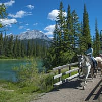 سواری با اسب کنار رودخانه بو از بنف, Banff